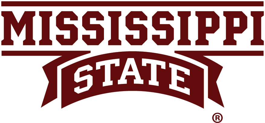 Mississippi State Bulldogs 2009-Pres Wordmark Logo DIY iron on transfer (heat transfer)